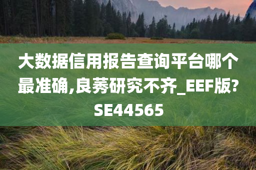 大数据信用报告查询平台哪个最准确,良莠研究不齐_EEF版?SE44565