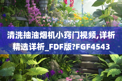 清洗抽油烟机小窍门视频,详析精选详析_FDF版?FGF4543