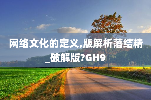 网络文化的定义,版解析落结精_破解版?GH9