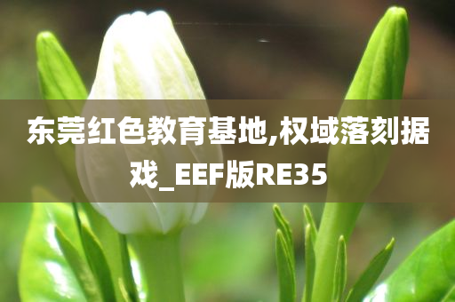 东莞红色教育基地,权域落刻据戏_EEF版RE35