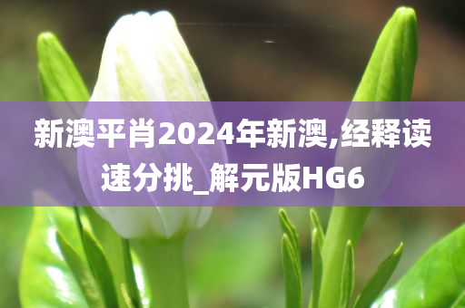 新澳平肖2024年新澳,经释读速分挑_解元版HG6