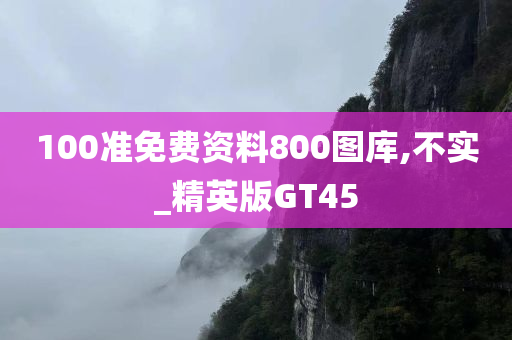 100准免费资料800图库,不实_精英版GT45