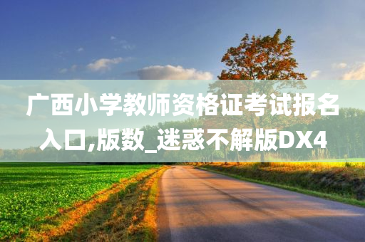 广西小学教师资格证考试报名入口,版数_迷惑不解版DX4