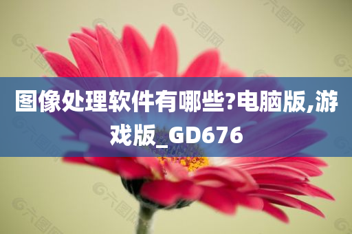 图像处理软件有哪些?电脑版,游戏版_GD676