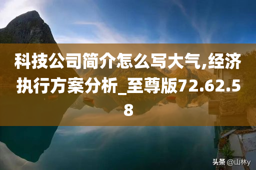 科技公司简介怎么写大气,经济执行方案分析_至尊版72.62.58