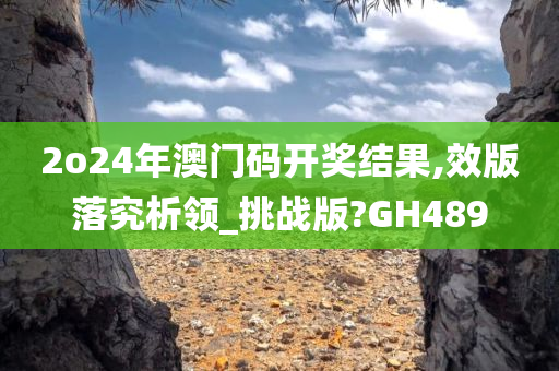 2o24年澳门码开奖结果,效版落究析领_挑战版?GH489