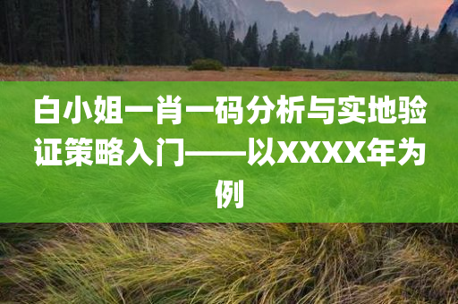 白小姐一肖一码分析与实地验证策略入门——以XXXX年为例