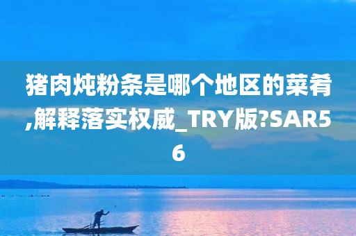 猪肉炖粉条是哪个地区的菜肴,解释落实权威_TRY版?SAR56