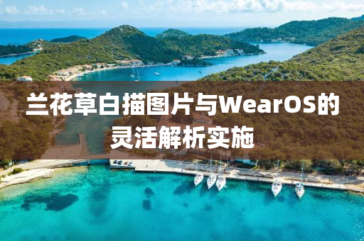 兰花草白描图片与WearOS的灵活解析实施