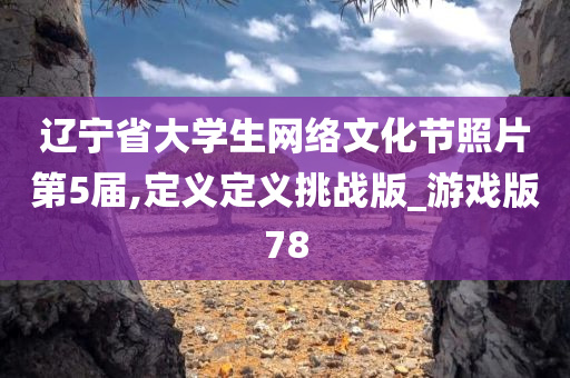 辽宁省大学生网络文化节照片第5届,定义定义挑战版_游戏版78