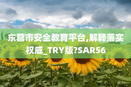 东营市安全教育平台,解释落实权威_TRY版?SAR56