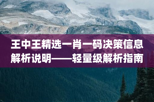 王中王精选一肖一码决策信息解析说明——轻量级解析指南