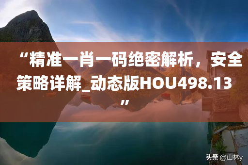 “精准一肖一码绝密解析，安全策略详解_动态版HOU498.13”