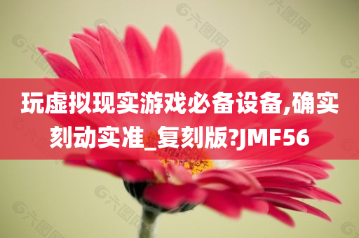 玩虚拟现实游戏必备设备,确实刻动实准_复刻版?JMF56