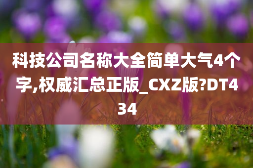 科技公司名称大全简单大气4个字,权威汇总正版_CXZ版?DT434