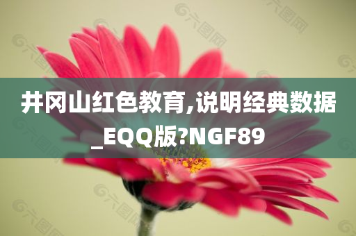 井冈山红色教育,说明经典数据_EQQ版?NGF89