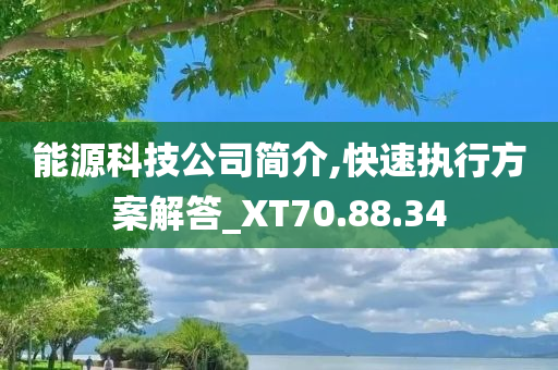 能源科技公司简介,快速执行方案解答_XT70.88.34