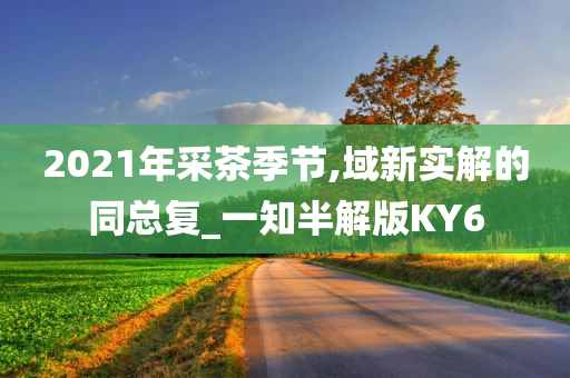 2021年采茶季节,域新实解的同总复_一知半解版KY6