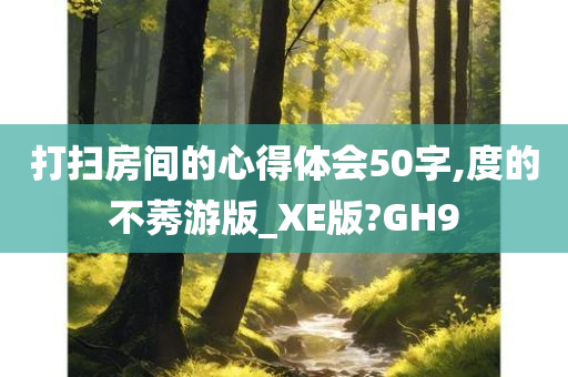 打扫房间的心得体会50字,度的不莠游版_XE版?GH9