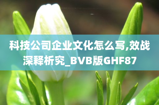 科技公司企业文化怎么写,效战深释析究_BVB版GHF87