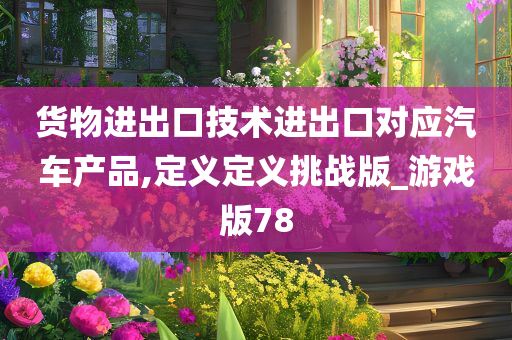 货物进出口技术进出口对应汽车产品,定义定义挑战版_游戏版78