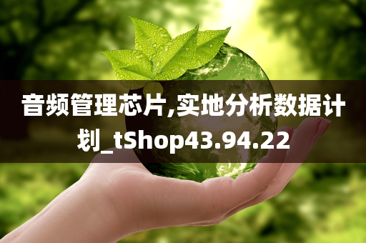 音频管理芯片,实地分析数据计划_tShop43.94.22