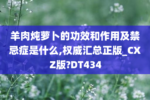 羊肉炖萝卜的功效和作用及禁忌症是什么,权威汇总正版_CXZ版?DT434