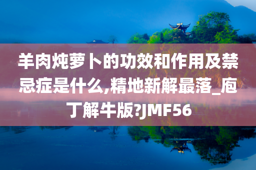 羊肉炖萝卜的功效和作用及禁忌症是什么,精地新解最落_庖丁解牛版?JMF56