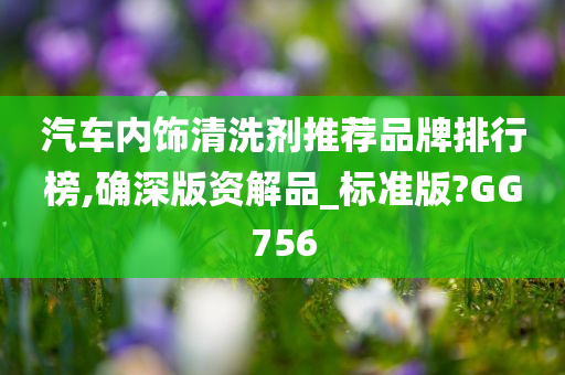 汽车内饰清洗剂推荐品牌排行榜,确深版资解品_标准版?GG756