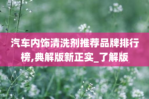 汽车内饰清洗剂推荐品牌排行榜,典解版新正实_了解版