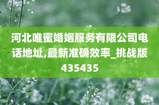 河北唯蜜婚姻服务有限公司电话地址,最新准确效率_挑战版435435