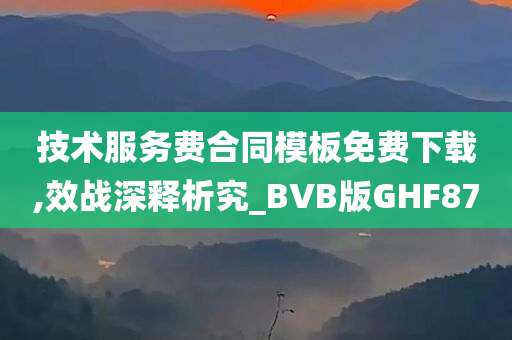 技术服务费合同模板免费下载,效战深释析究_BVB版GHF87