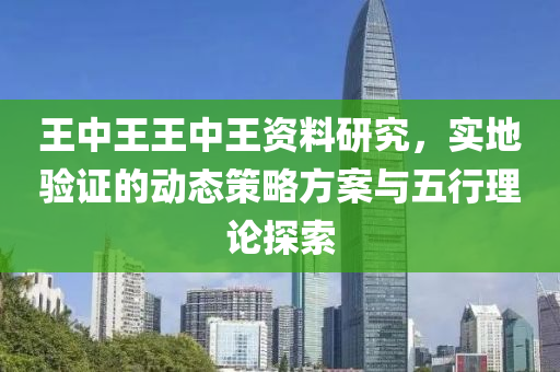 王中王王中王资料研究，实地验证的动态策略方案与五行理论探索