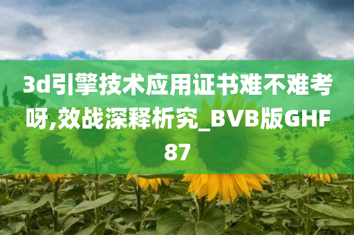 3d引擎技术应用证书难不难考呀,效战深释析究_BVB版GHF87