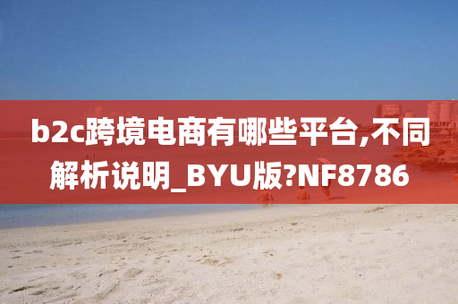 b2c跨境电商有哪些平台,不同解析说明_BYU版?NF8786