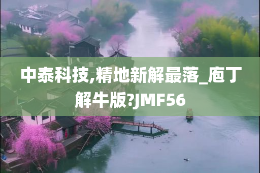 中泰科技,精地新解最落_庖丁解牛版?JMF56