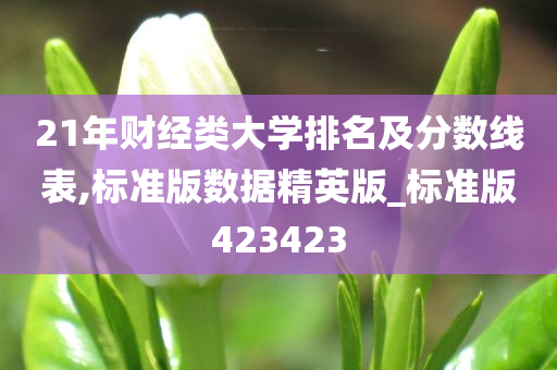 21年财经类大学排名及分数线表,标准版数据精英版_标准版423423