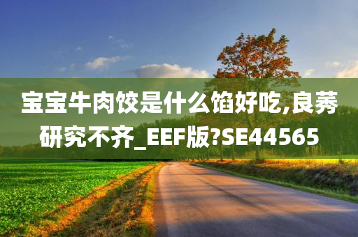 宝宝牛肉饺是什么馅好吃,良莠研究不齐_EEF版?SE44565