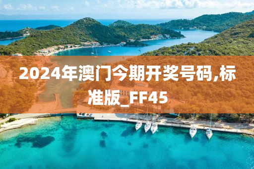 2024年澳门今期开奖号码,标准版_FF45