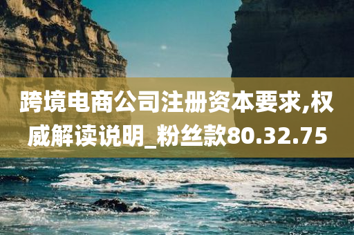 跨境电商公司注册资本要求,权威解读说明_粉丝款80.32.75