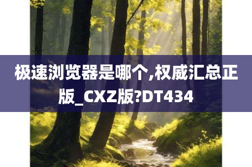 极速浏览器是哪个,权威汇总正版_CXZ版?DT434