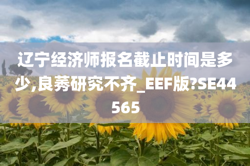 辽宁经济师报名截止时间是多少,良莠研究不齐_EEF版?SE44565