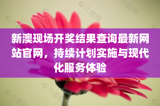 新澳现场开奖结果查询最新网站官网，持续计划实施与现代化服务体验