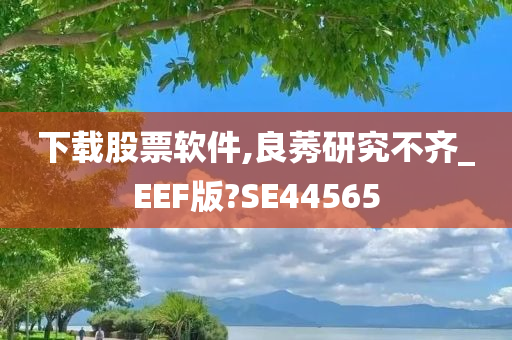 下载股票软件,良莠研究不齐_EEF版?SE44565