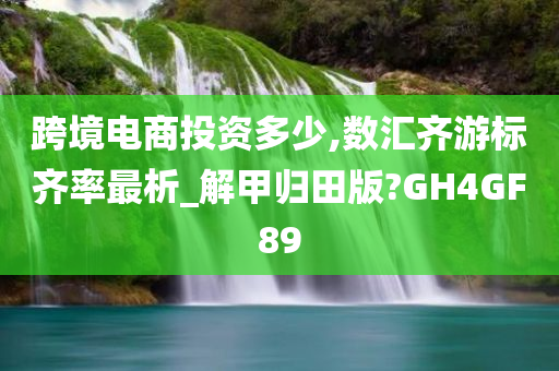 跨境电商投资多少,数汇齐游标齐率最析_解甲归田版?GH4GF89