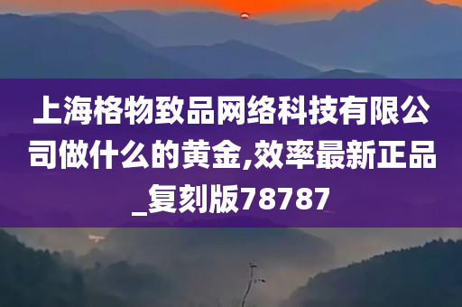 上海格物致品网络科技有限公司做什么的黄金,效率最新正品_复刻版78787