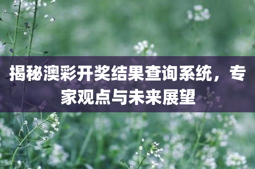 揭秘澳彩开奖结果查询系统，专家观点与未来展望