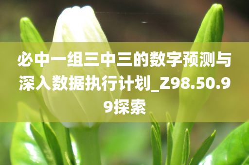 必中一组三中三的数字预测与深入数据执行计划_Z98.50.99探索