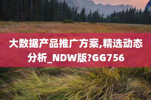 大数据产品推广方案,精选动态分析_NDW版?GG756