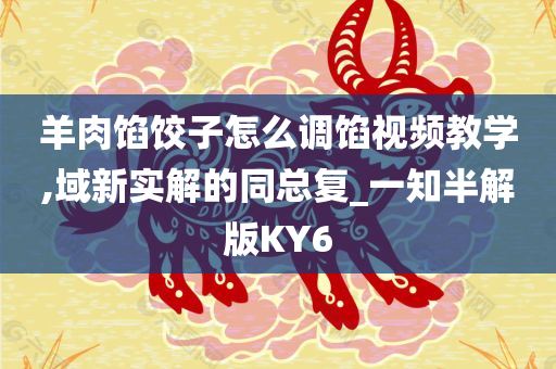 羊肉馅饺子怎么调馅视频教学,域新实解的同总复_一知半解版KY6